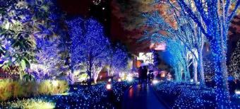 Japan Christmas Illumination