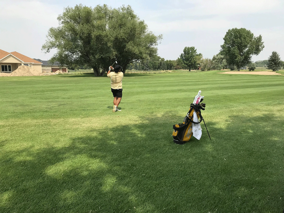 Northeastern Men's Golf team member