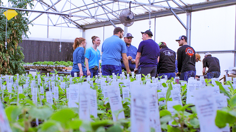 Students at Northeastern have the opportunity to partake in several clubs and organizations. Several agriculture students become a part of the Northeastern Collegiate Farm Bureau or Aggies where they produce much of the fruit and vegetables available in our very own cafeteria. In addition, they participate in several leadership and advocacy conferences.