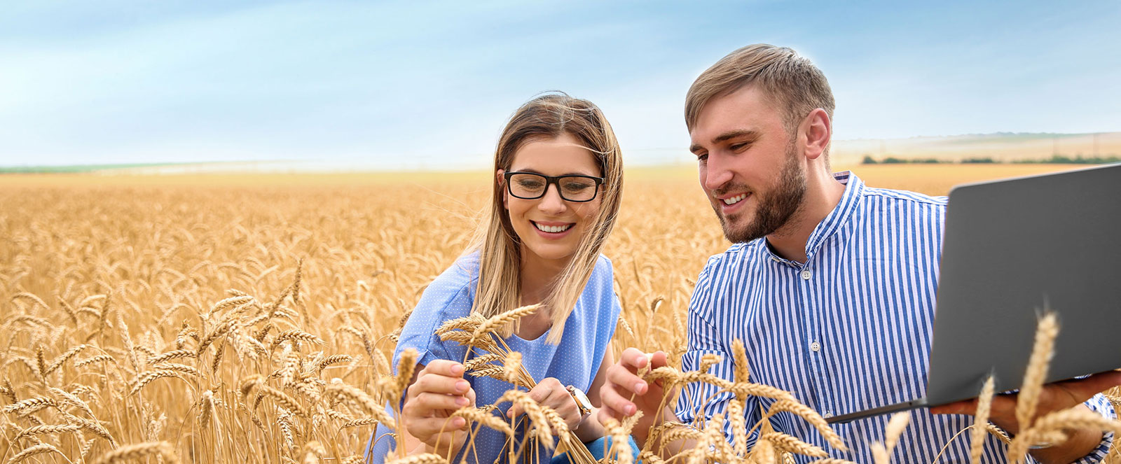 Couple on laptop in field