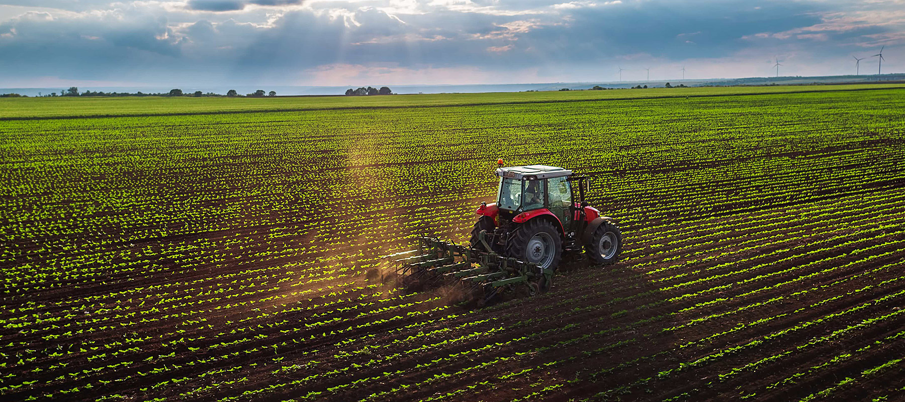 Agriculture Business