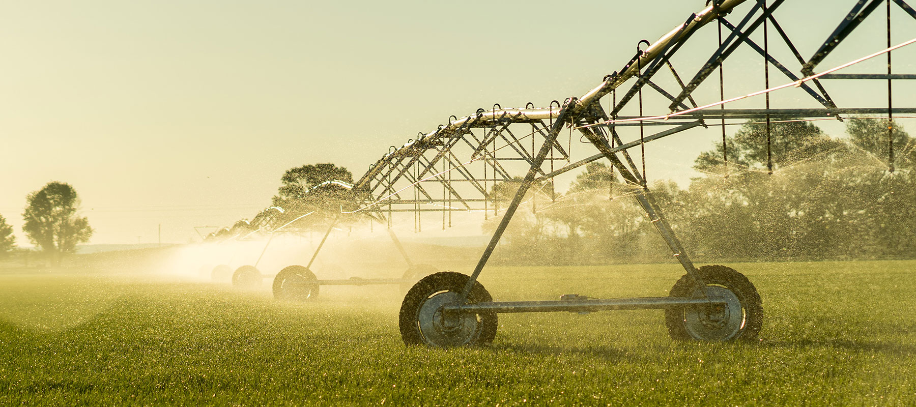 Irrigation