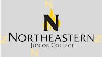 NJC Logo clear space example