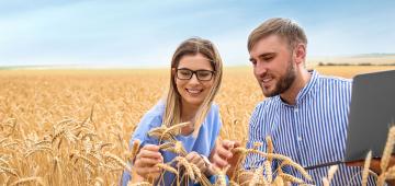 Couple on laptop in field