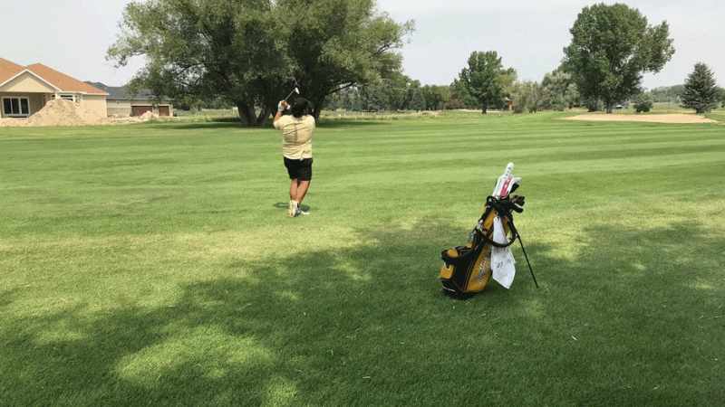 Northeastern Student golfing