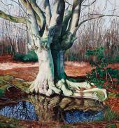 Oil painting of a tree, titled Sanctuary by Ricki Klages